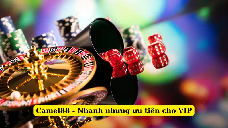 Camel88 - Nhanh nhưng ưu tiên cho VIP